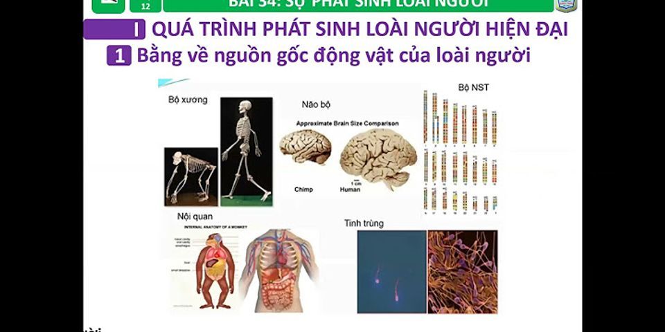 I M Gi Ng V Kh C Nhau Gi A Ng I V V N Ng I Ng Y Nay Ch Ng Minh