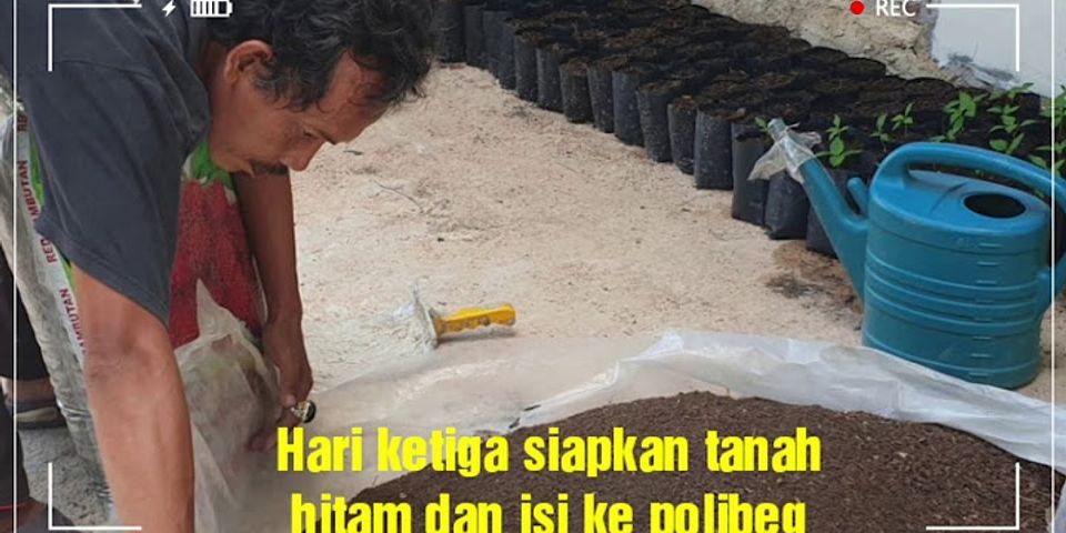 Tanaman Yang Paling Cepat Tumbuh Dan Dapat Digunakan Dalam Penghijauan