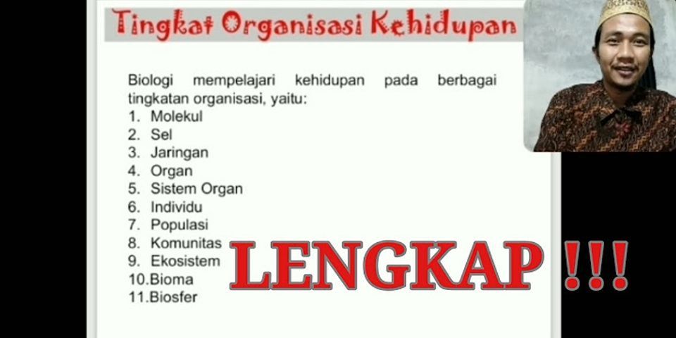 Urutan Yang Benar Dalam Struktur Organisasi Kehidupan Dari Yang