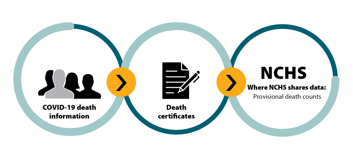 DataStream_Mortality_Data