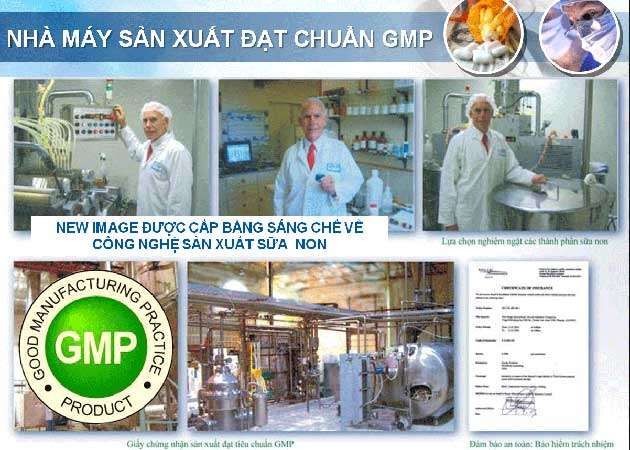 Sữa non đạt chuẩn GMP