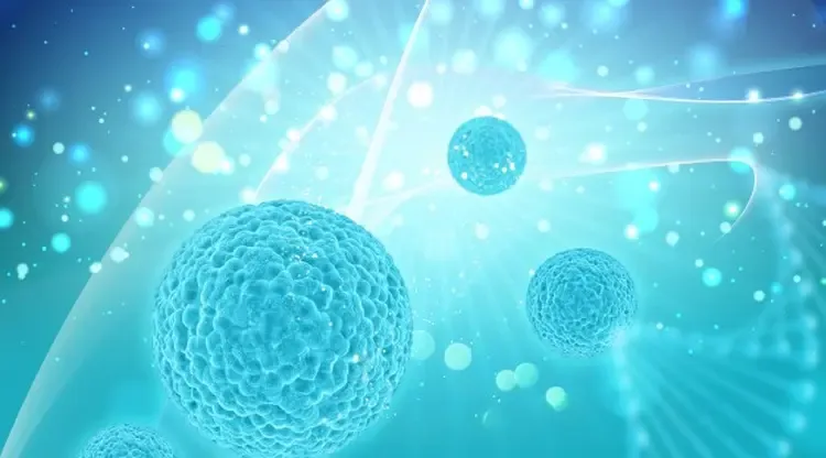 Apa yang dimaksud dengan membran sel sebagai reseptor jelaskan