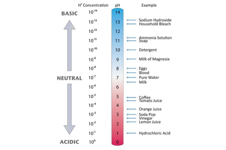 Jelaskan perbedaan asam lemah dan asam kuat menurut teori asam basa arrchenius