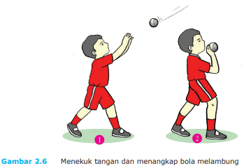Tangkap bola dengan 2 tangan lalu genggam dengan jari dan setelah bola tertangkap tarik ke arah dada dengan menekuk siku merupakan cara menangkap bola