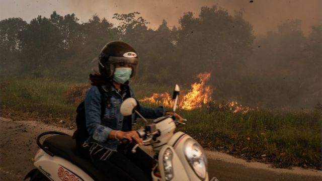 Yaitu satu hutan menyebabkan ditimbulkan …. oleh salah asap kebakaran pernapasan yang gangguan bisa Soal Tematik