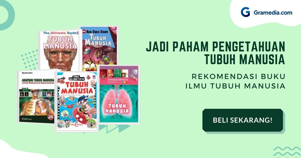 Bagaimana Cara Menjaga Kesehatan Peredaran Darah Brainly