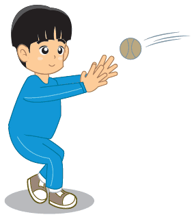 Telapak tangan membentuk corong menghadap ke atas dan pandangan ke arah bola datang merupakan cara menangkap bola