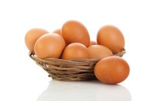 Bahan Pangan Hewani Telur