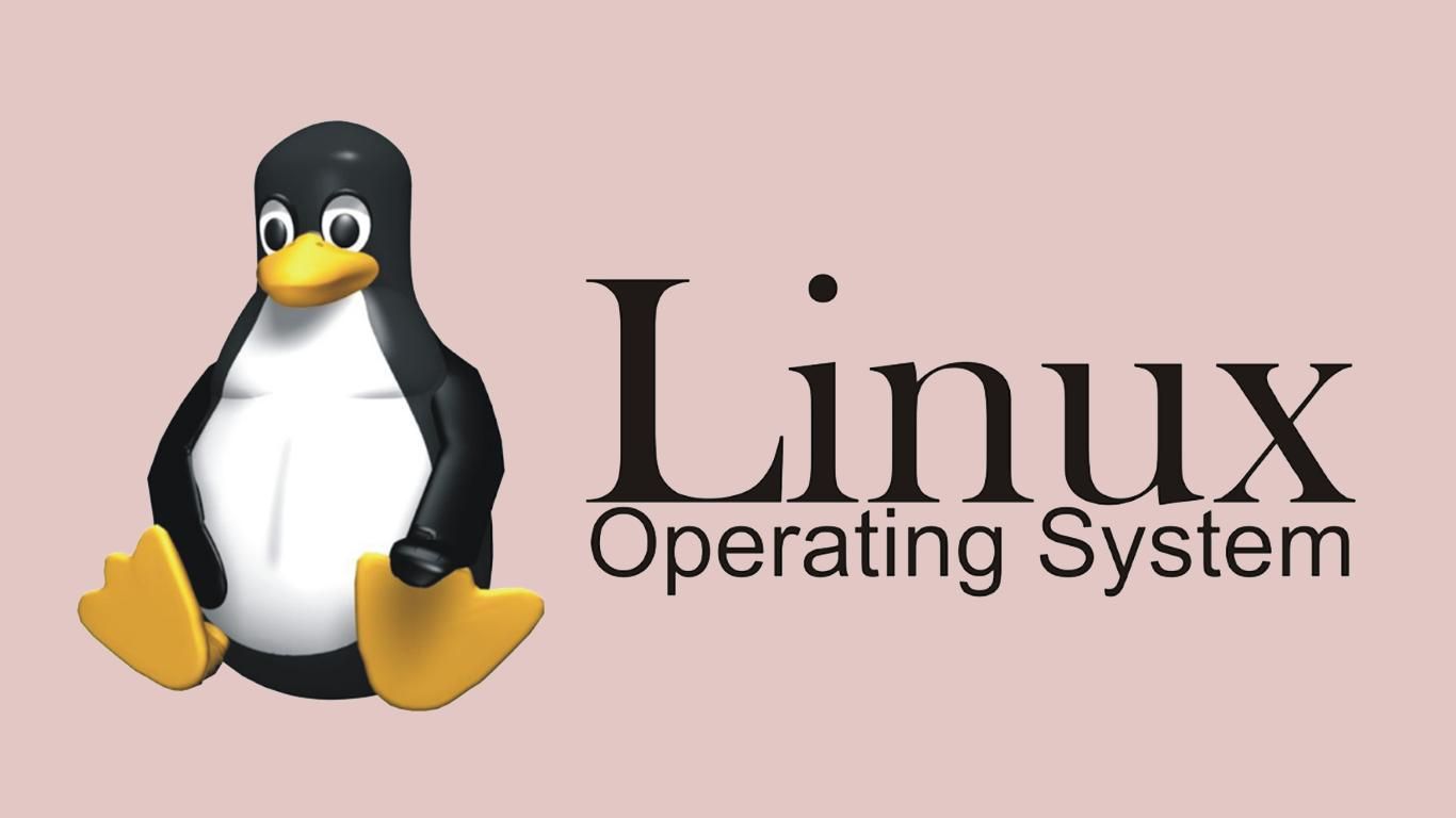 Yang bukan merupakan varian sistem operasi jaringan berbasis gui yang menggunakan basis linux adalah