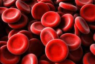 Pembuluh nadi merupakan pembuluh darah yang berfungsi untuk mengangkut darah dari