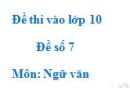 Đề số 7 - Đề thi vào lớp 10 môn Ngữ văn