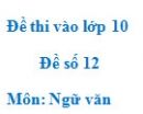 Đề số 12 - Đề thi vào lớp 10 môn Ngữ văn