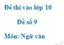 Đề số 9 - Đề thi vào lớp 10 môn Ngữ văn