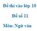 Đề số 11 - Đề thi vào lớp 10 môn Ngữ văn