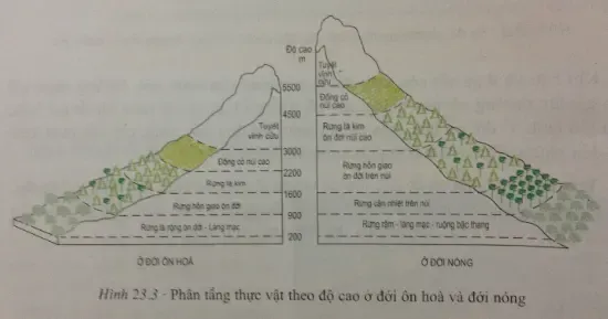 Để học tốt Địa Lý 7 | Giải bài tập Địa Lý 7 Bai 2 Trang 76 Sgk Dia Li 7