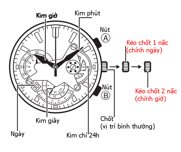 cach-chinh-gio-dong-ho-edifice