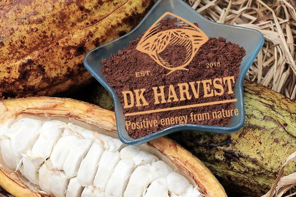 Cacao – Nguồn gốc và tác dụng của cacao mà bạn cần biết