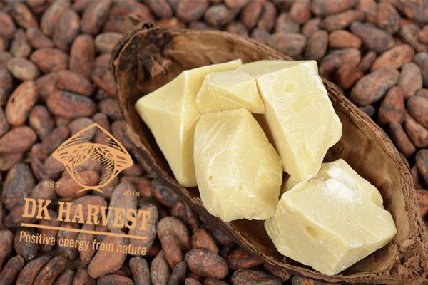 Bơ cacao – Tác dụng và cách sử dụng bơ cacao hiệu quả