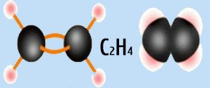  mô hình cấu tạo phân tử của Etilen C2H4