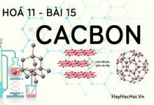 Tính chất hoá học của Cacbon (C), bài tập về cacbon - hoá 11 bài 15