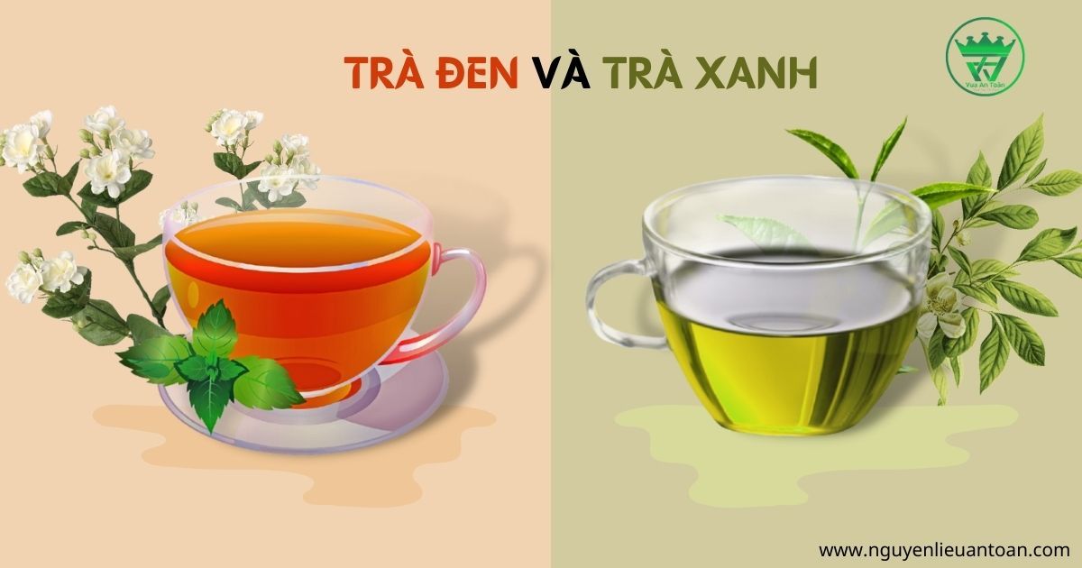 SỰ KHÁC NHAU GIỮA TRÀ XANH VÀ TRÀ ĐEN - LOẠI NÀO TỐT HƠN?