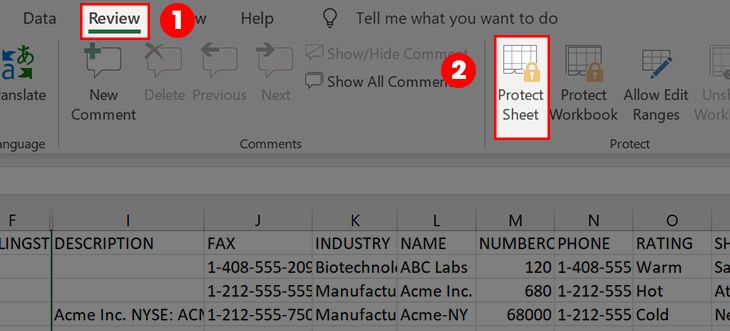 Chọn Review và chọn Protect Sheet