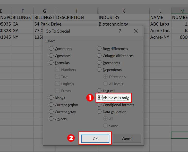 Chọn Visible cells only và nhấn OK