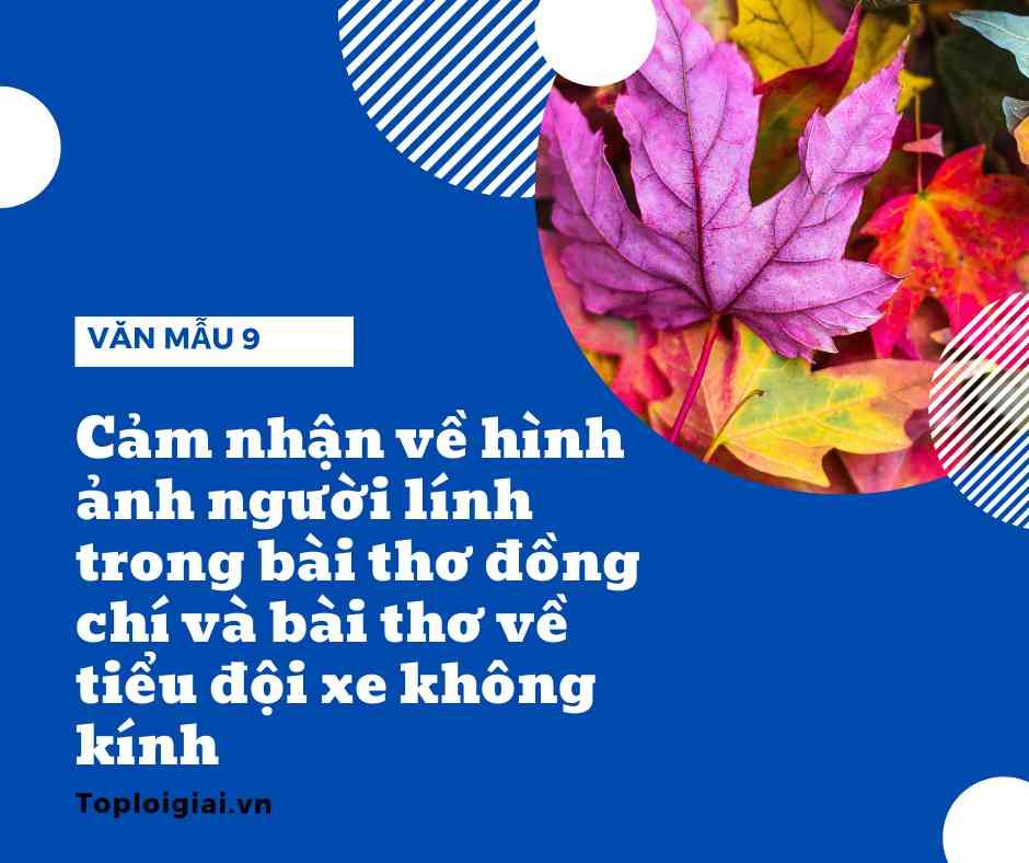 Cảm nhận về hình ảnh người lính trong bài thơ đồng chí và bài thơ về tiểu đội xe không kính ngắn gọn nhất (ảnh 3)