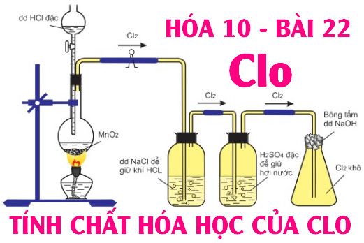 Tính chất hóa học của clo hóa 10 bài 22