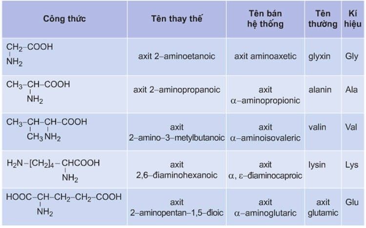 Bảng các amino axit cần nhớ