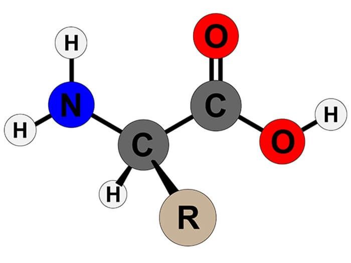 Bí quyết ❤️️ Công thức tổng quát của amino axit có một nhóm NH 2 một nhóm COOH là