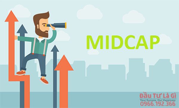 Danh Sách Cổ Phiếu Midcap 2021 Tốt Để Đầu Tư Chứng Khoán Có Lãi