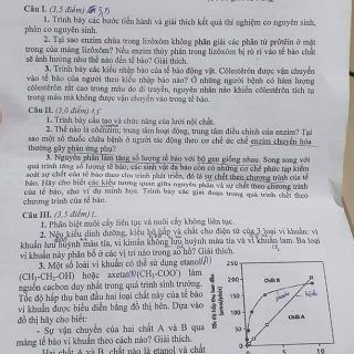 ĐỀ THI HSG SINH HỌC 12 CÓ ĐÁP ÁN