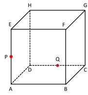 Diketahui kubus abcd.efgh dengan rusuk 8 cm. m adalah titik tengah eh. jarak titik m ke ag adalah