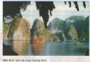 Tài nguyên và bảo vệ môi trường biển Việt Nam