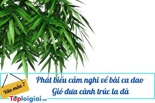 Phát biểu cảm nghĩ về bài ca dao Gió đưa cành trúc la đà…(ảnh 2)