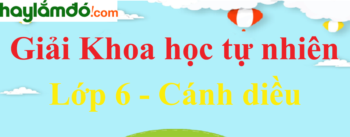 Khoa học tự nhiên lớp 6 Cánh diều - Giải bài tập Khoa học tự nhiên lớp 6 Cánh diều hay nhất