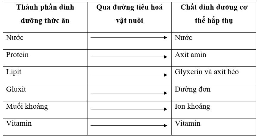 Công nghệ 7