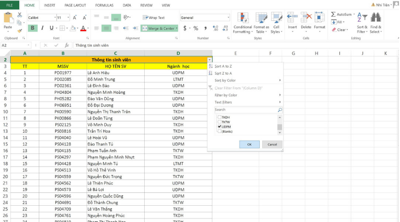 hướng dẫn sử dụng filter trong excel 