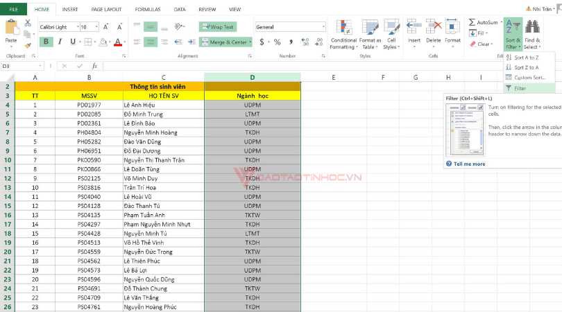 hướng dẫn sử dụng filter trong excel 