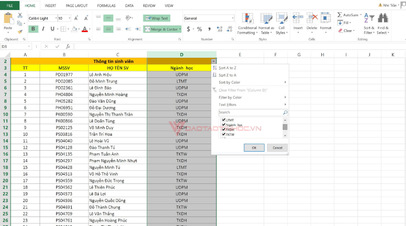 hướng dẫn sử dụng filter trong excel 