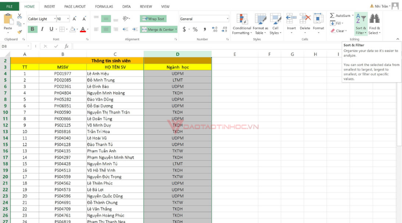 hướng dẫn sử dụng filter trong excel 