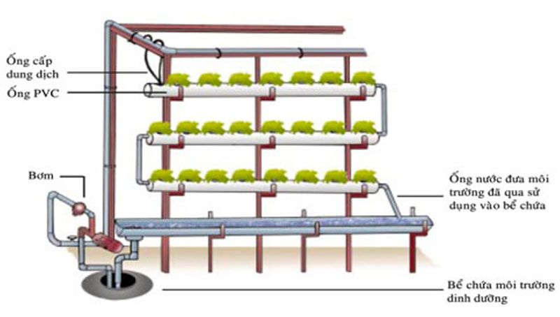 Cách làm mô hình thủy canh tự chế chuẩn