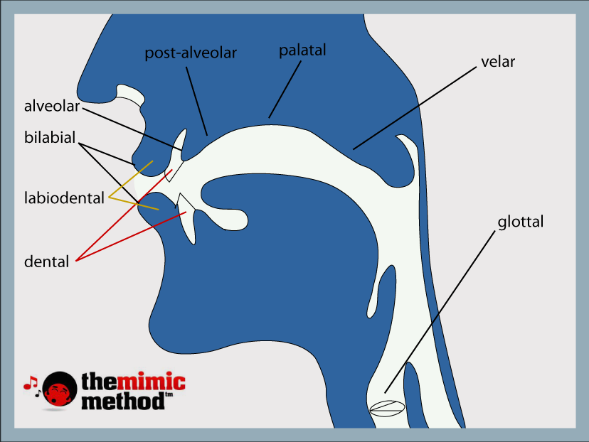 places of articulation