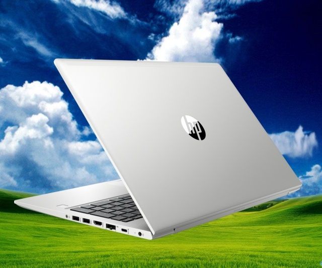 HP ProBook 450 G6 (6FG98PA) (Bạc) i5