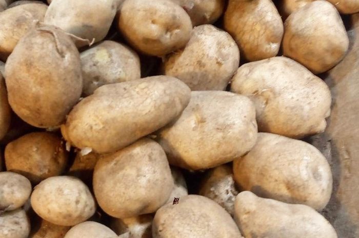Vitamin kentang khasiat banyak potasium memiliki diantaranya serta Khasiat Kentang
