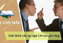 giai thich cau tuc ngu loi noi goi vang