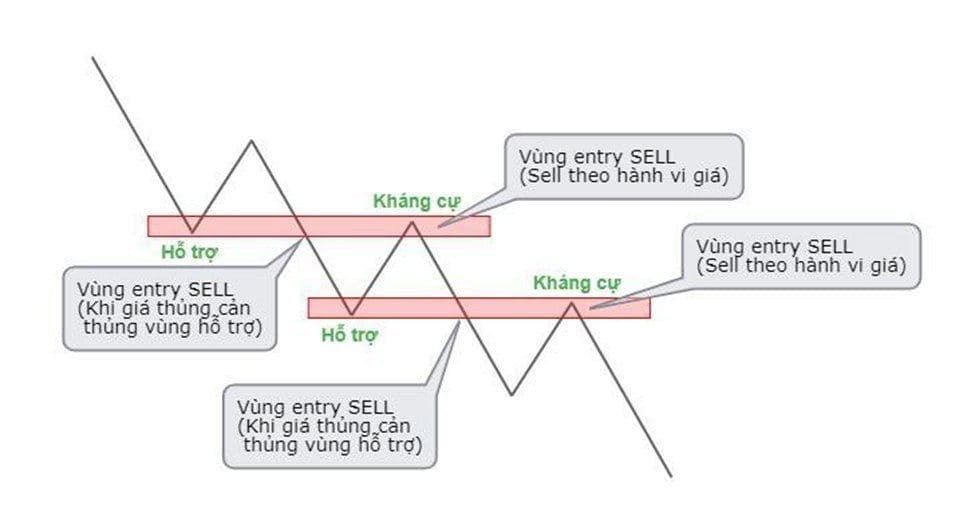 vao lenh theo khang cu ho tro