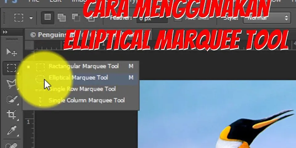 Apa fungsi elliptical marquee tool