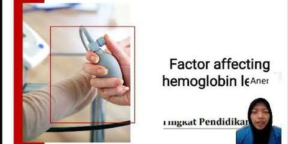 Apa fungsi hemoglobin dan sebutkan komponen penyusun hemoglobin